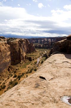 Bull Canyon from top