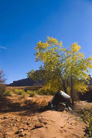 Old Truck Along River