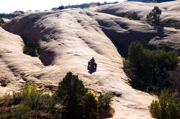 Slick Rock Fins and Things